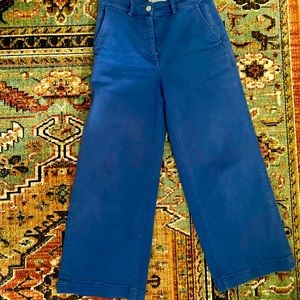Blue Everlane Wide Leg pants